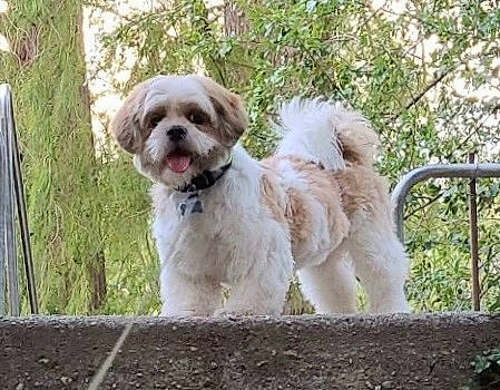 Thanos