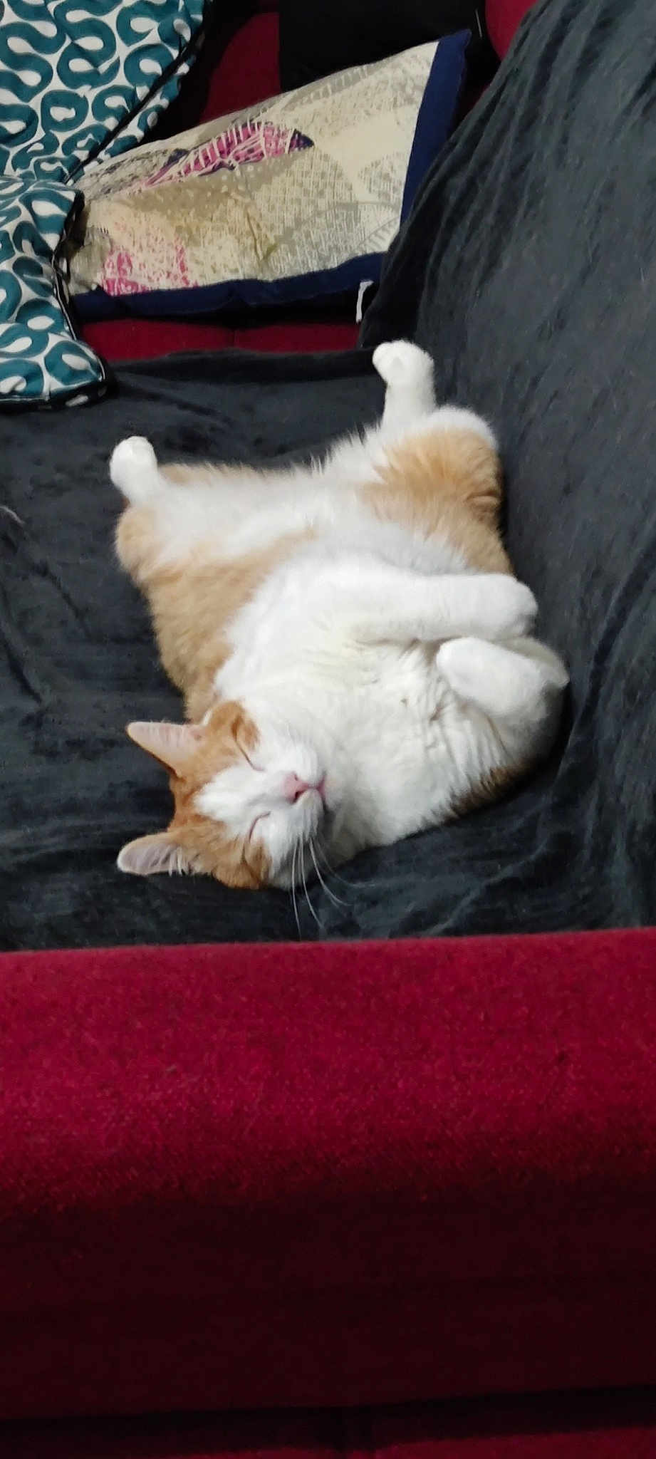 Keiko