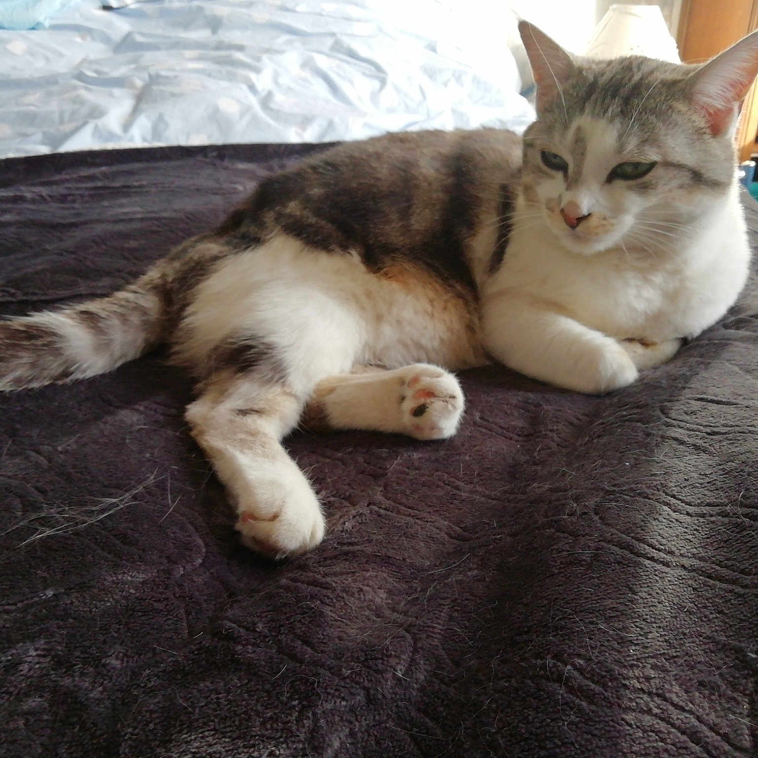 Ninon