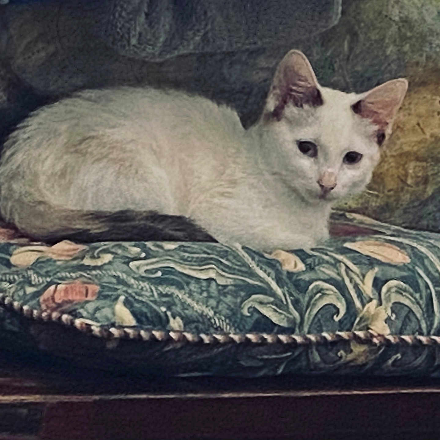 Freya