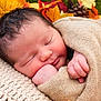 Maïwenn a rejoint le concours — aidez-le/la à gagner de superbes lots ! baby, newborn, sleeping, blanket, autumn_leaves, cozy, portrait, closeup, infant, hand, head, hair, soft_texture, knit_blanket, fall, pumpkin, foliage, wrapped, cute, peaceful