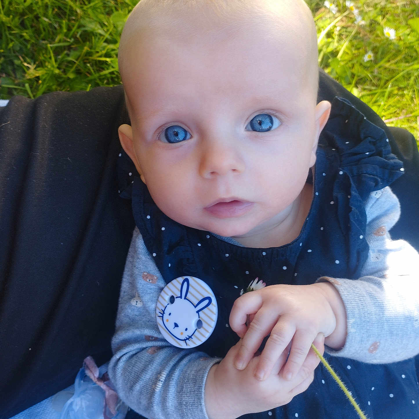 Ysaline a rejoint le concours — aidez-le/la à gagner de superbes lots ! baby, baby_clothes, blue_eyes, bunny_badge, child, close_up, curious, cute, flower, grass, hands, head, infant, nature, outdoor, person, polka_dot_dress, portrait, skin, soft_light