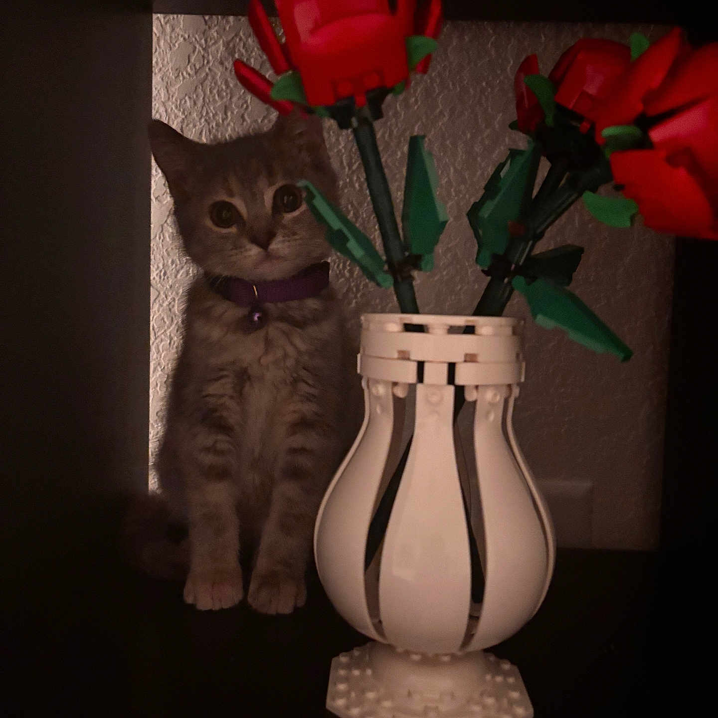 Molly