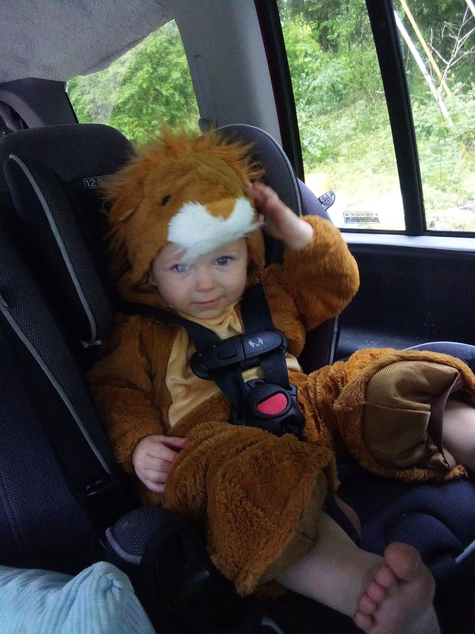 Colton joined the competition — help win amazing prizes! auto_part, car, car_seat, car_seat_cover, child, comfort, family_car, fawn, headwear, lap, mammal, motor_vehicle, passenger, person, plant, seat_belt, sitting, steering_wheel, toddler, tree
