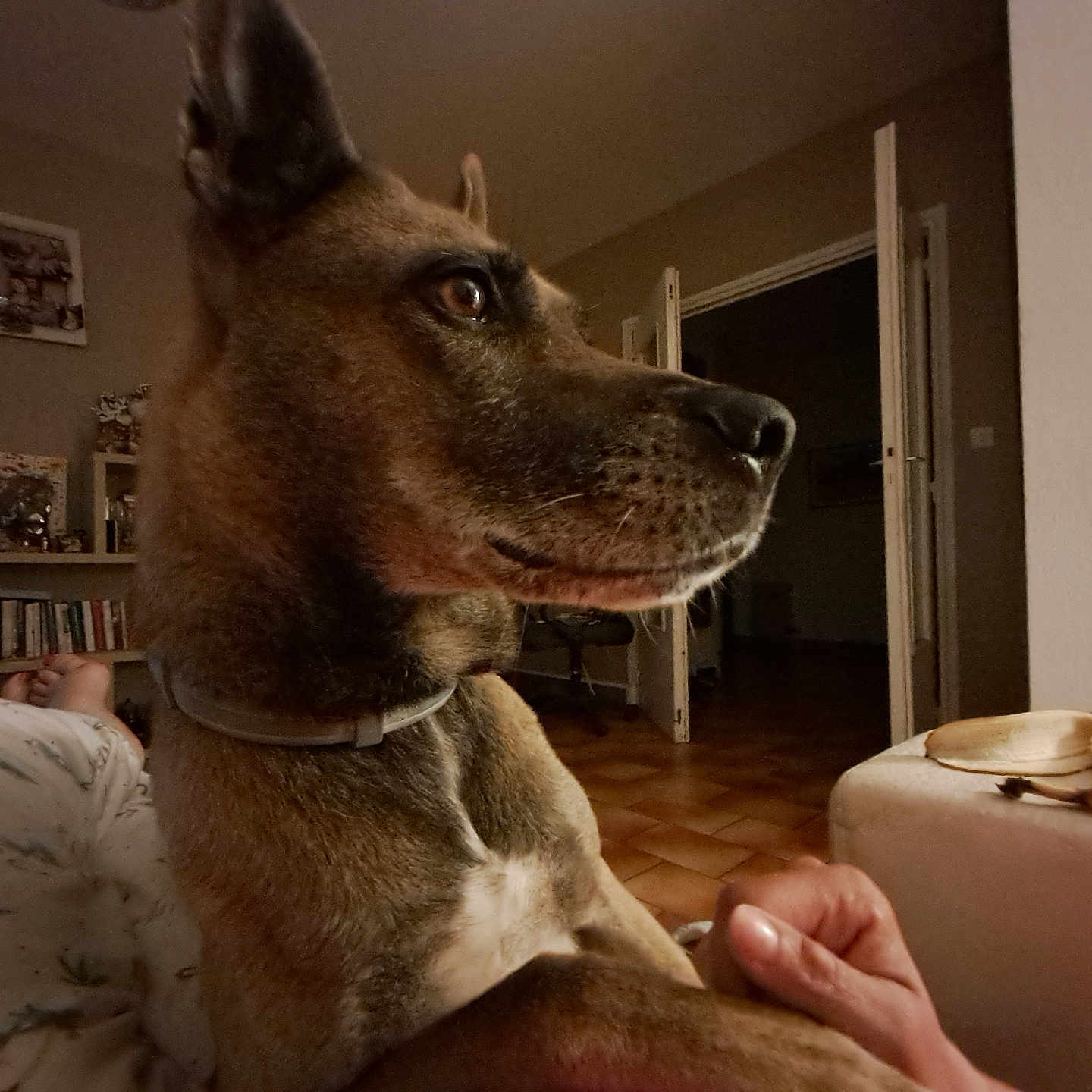 Jack