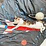 cat, sleeping, bed, blanket, rocket, space, planet, pattern, indoor, fur, white, brown, black, striped, animal, pet, cozy, relaxed, cute, feline