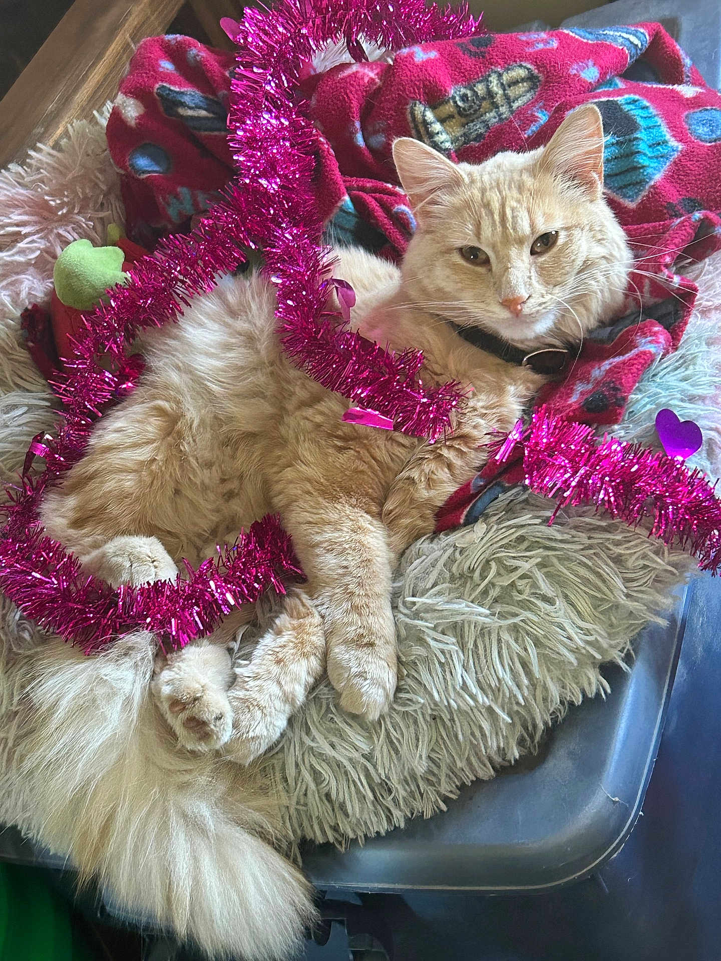 Tigger