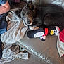Jota is registered to the contest to win money with this photo: arm, black_and_white, blanket, carpet, couch, cozy, dog, fur, home, indoor, leather, penguin, person, pet, plush_toy, puppy, resting, santa_hat, soft, toy