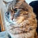 Titou