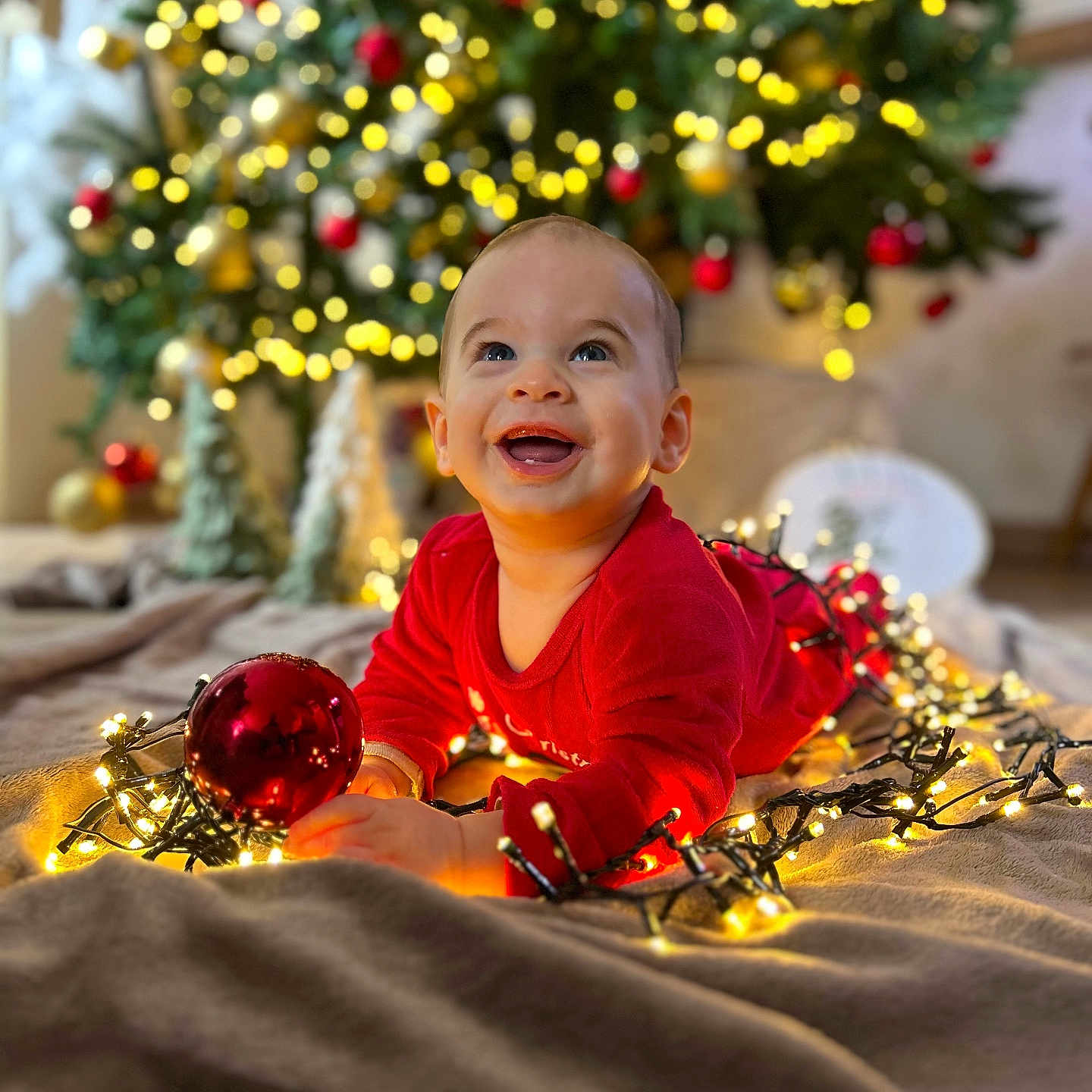 Alec participe au concours pour gagner de l'argent avec cette photo : baby, blanket, blurred_background, celebration, child, christmas_lights, christmas_tree, decorations, face, festive, glowing_lights, happy, holiday, indoors, joyful, ornament, red_clothing, seasonal, smiling, toddler