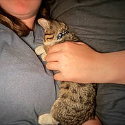Milo is registered to the contest to win money with this photo: