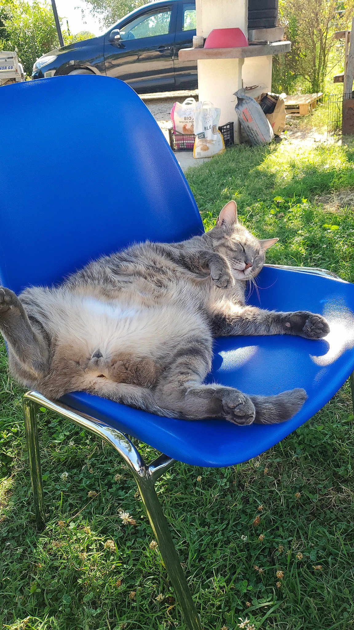 Clovis
