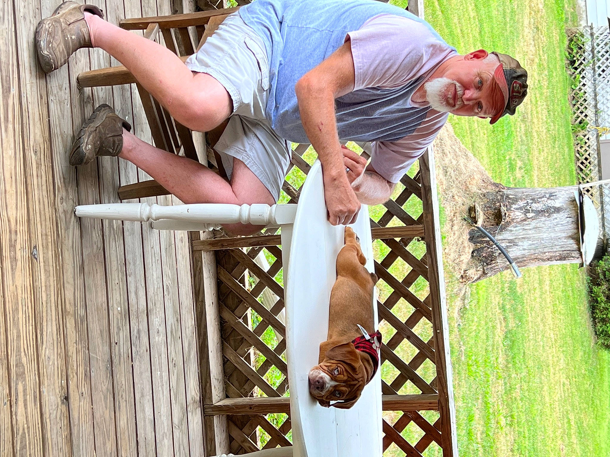 Toby joined the competition — help win amazing prizes! chain_link_fencing, child, competition, competition_event, event, fence, fun, grass, happy, landscape, leisure, net, pattern, people_in_nature, recreation, rope, shorts, t_shirt, wood