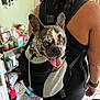 dog, backpack, person, indoor, black_clothing, tongue_out, blue_eyes, curly_hair, floor_tiles, pet_bowl, home, furniture, leash, pet_accessory, animal, happy, carrying, mesh_fabric, small_dog, playful