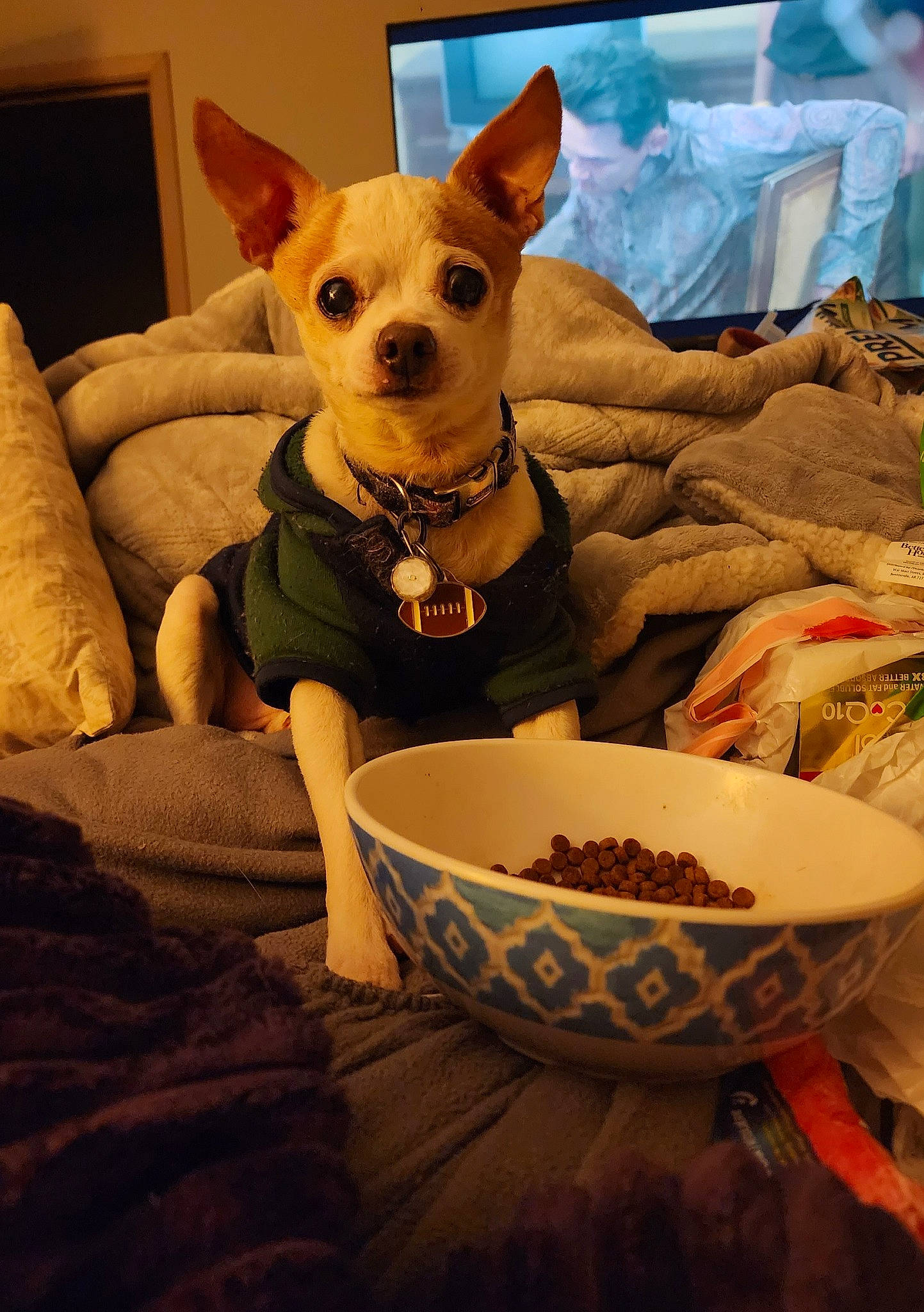 Max is registered to the contest to win money with this photo: animal_feed, canidae, carnivore, cat_supply, chihuahua, comfort, companion_dog, dog, dog_breed, dog_clothes, dog_supply, fawn, linens, pet_food, pet_supply, picture_frame, snout, toy_dog, whiskers, working_animal