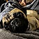Pugsley