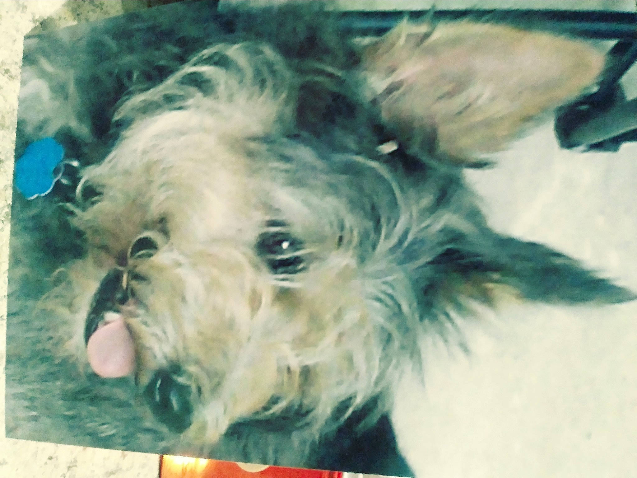 Millie