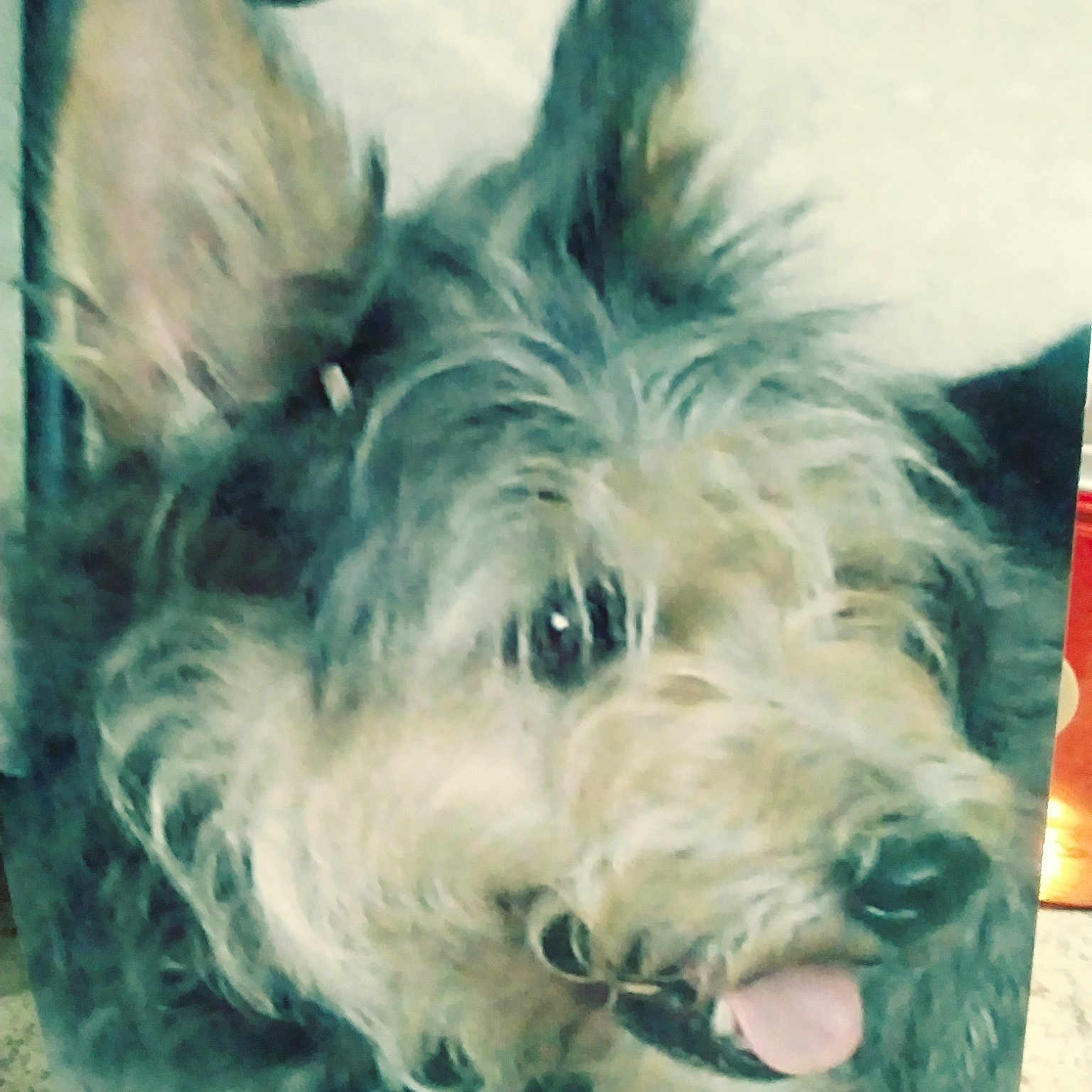 Millie
