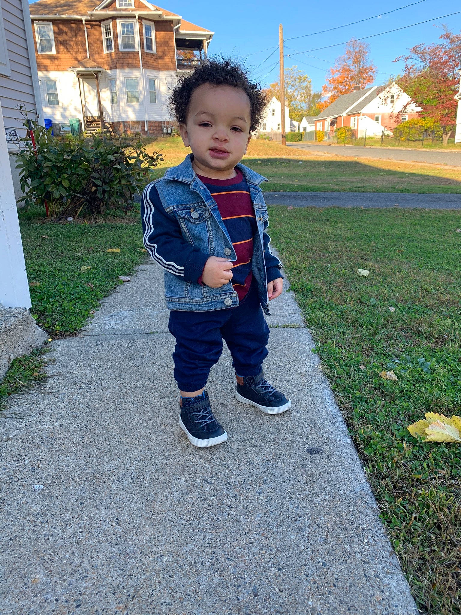 Zavien is registered to the contest to win money with this photo: child, denim, fun, grass, home, jacket, jeans, lawn, leaf, leisure, mountain, outerwear, person, plant, play, recreation, t_shirt, toddler, tree, vacation