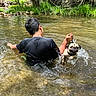 Meatloaf joined the competition — help win amazing prizes! person, dog, pug, water, river, splashing, outdoor, nature, grass, rocks, playing, summer, pet, animal, canine, wet, recreation, leash, fun, shallow_water