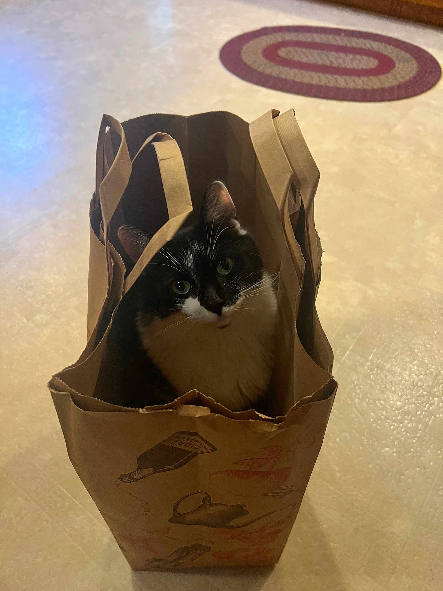 Gus joined the competition — help win amazing prizes! cat, paper_bag, black_and_white, pet, indoor, floor, curious, looking_up, animal, whiskers, ears, green_eyes, sitting, brown, paper, handle, cute, domestic, feline, playful