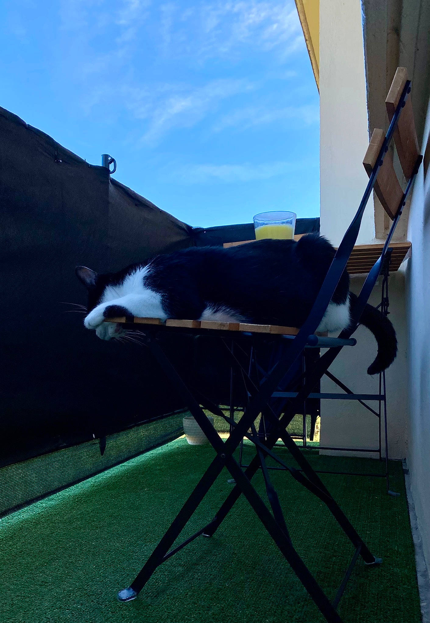 Sven a rejoint le concours — aidez-le/la à gagner de superbes lots ! armrest, chair, cloud, electric_blue, flooring, glass, grass, leisure, machine, metal, outdoor_furniture, plant, shade, shadow, sky, tints_and_shades, vehicle_door, window, windshield, wing