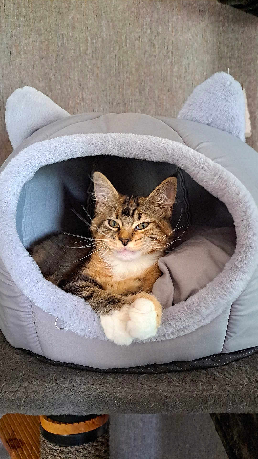 Athena