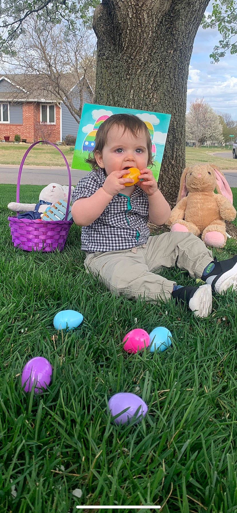 Hunter is registered to the contest to win money with this photo: baby, baby_toddler_clothing, ball, child, fun, grass, grass_family, green, happy, leisure, mammal, people, people_in_nature, person, plant, public_space, recreation, summer, toddler, tree