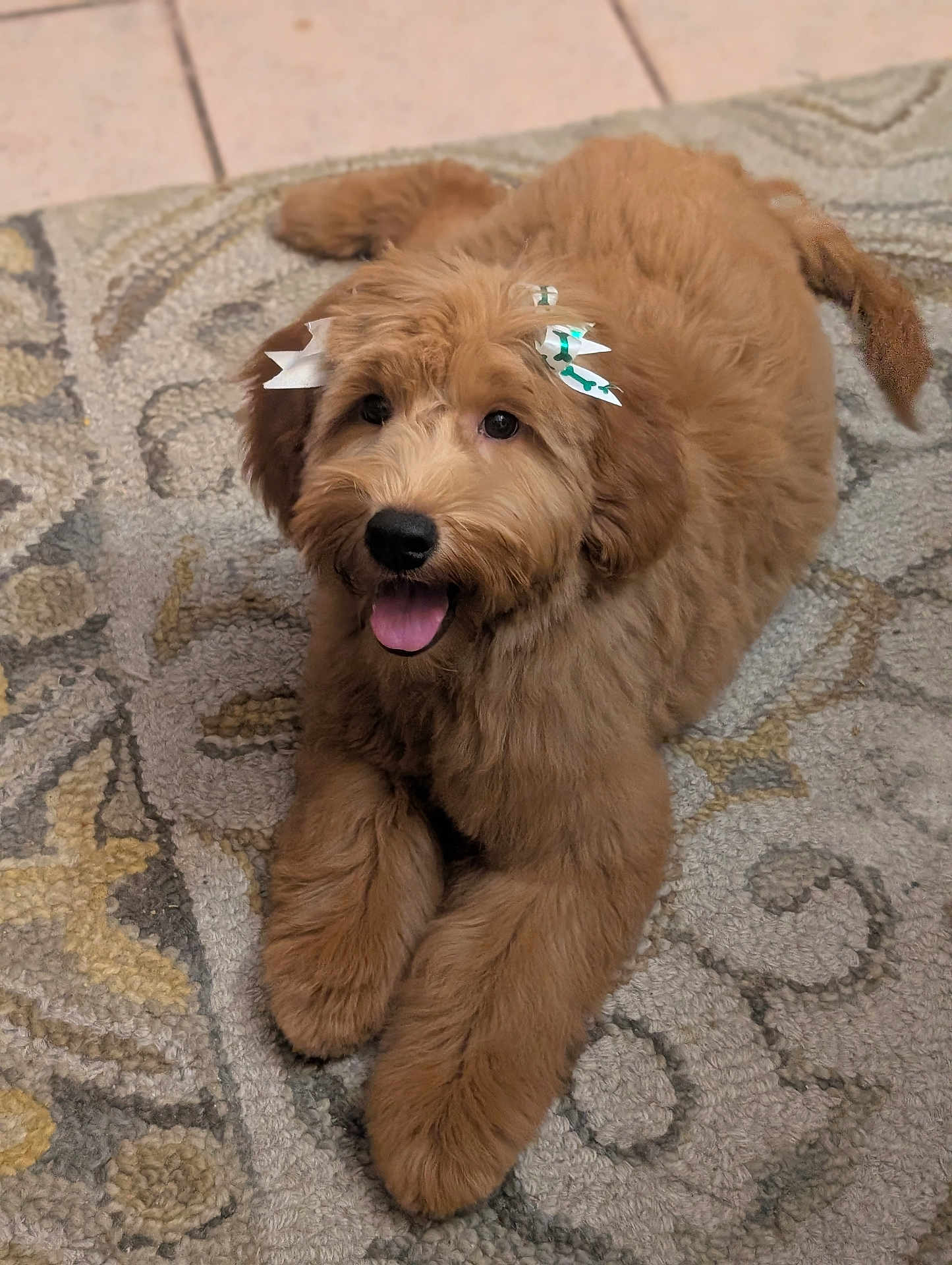 Chloe