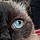 Sacha