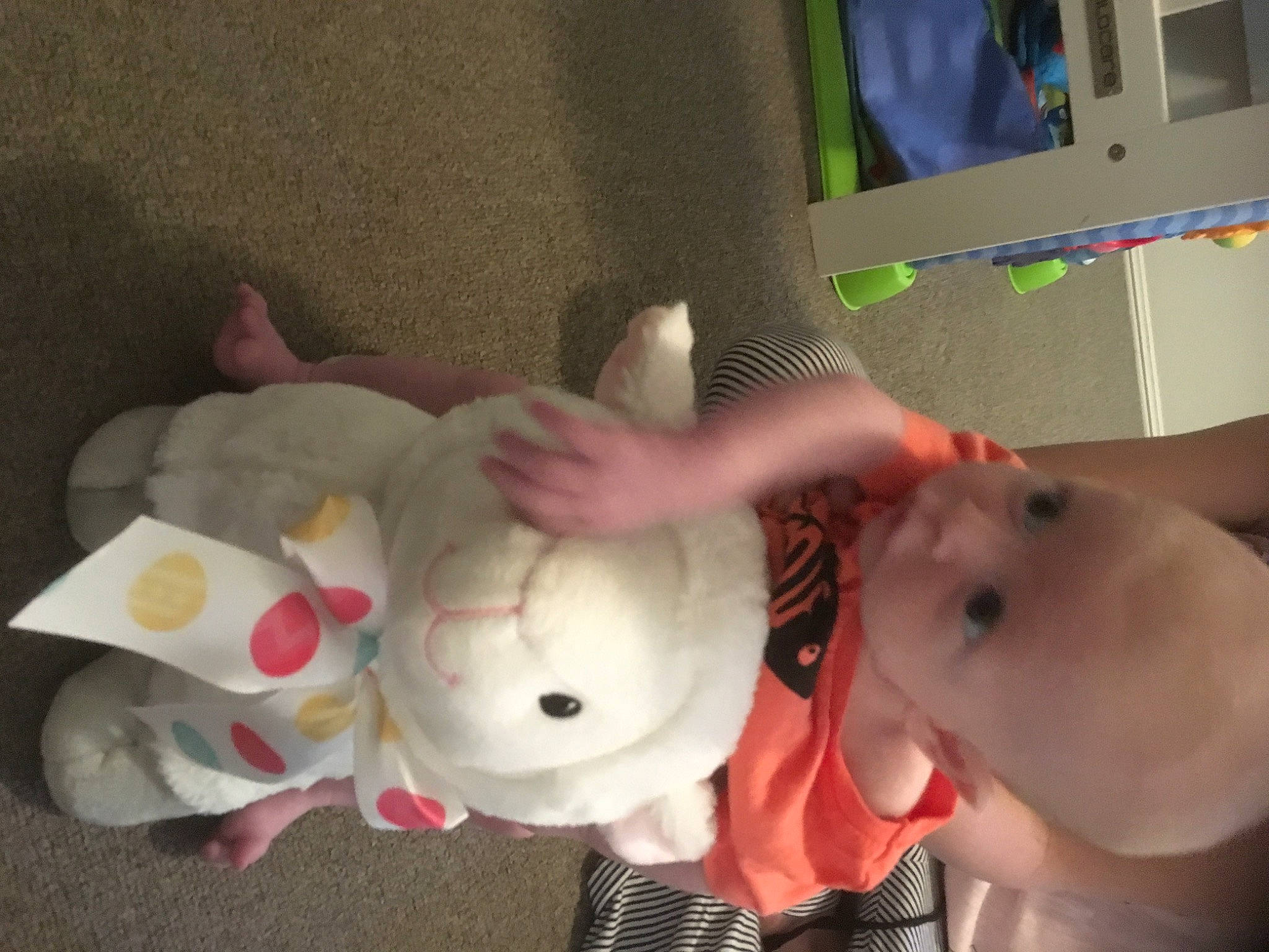 Colton joined the competition — help win amazing prizes! abdomen, baby, baby_products, baby_toys, carmine, chest, child, costume, event, eyelash, flesh, fun, mammal, person, plush, room, stuffed_toy, toddler, toy, trunk