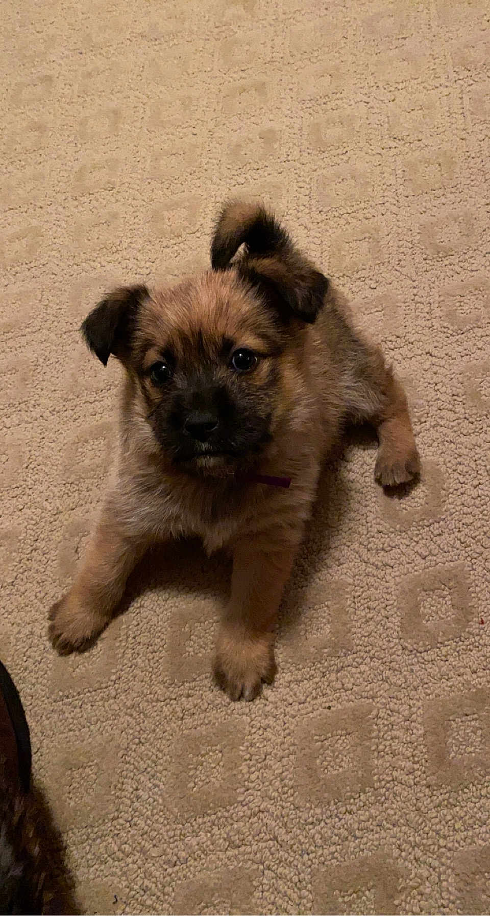 Remington