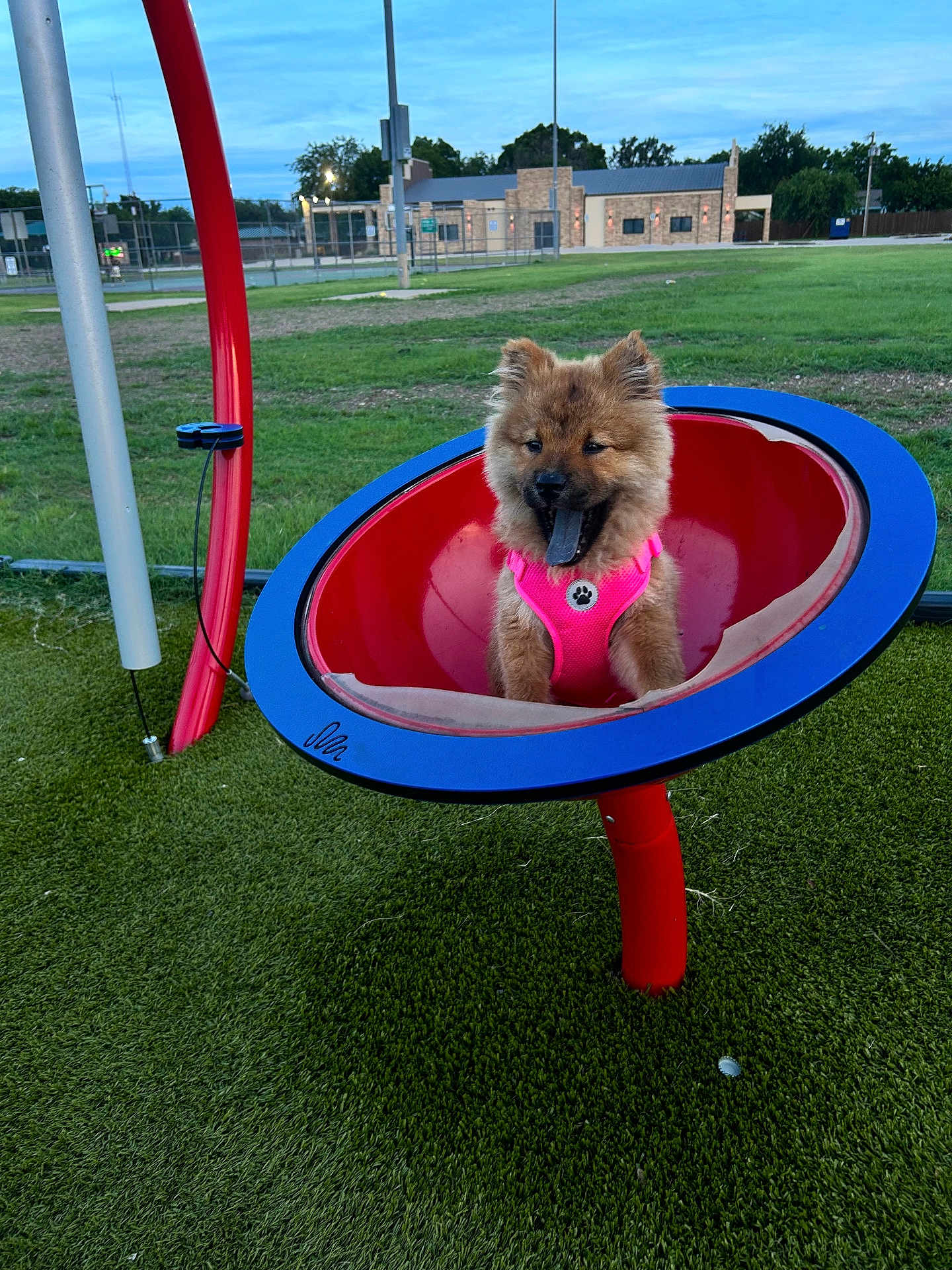 Myla