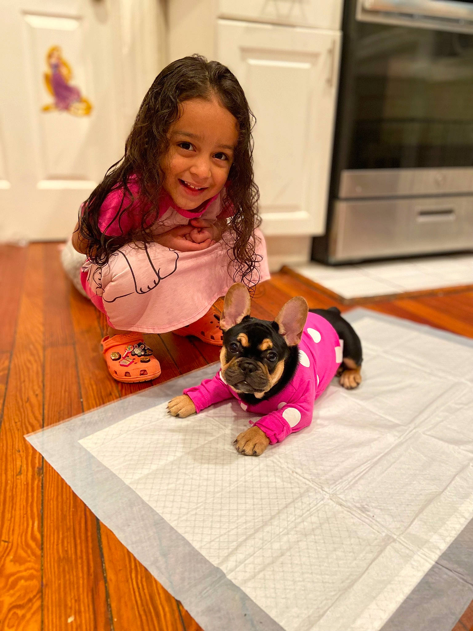 Emma is registered to the contest to win money with this photo: carnivore, companion_dog, dog, dog_breed, fawn, floor, flooring, fun, hair, happy, home_appliance, joy, kitchen_appliance, microwave_oven, person, pink, smile, table, television, toddler