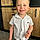 Alessio