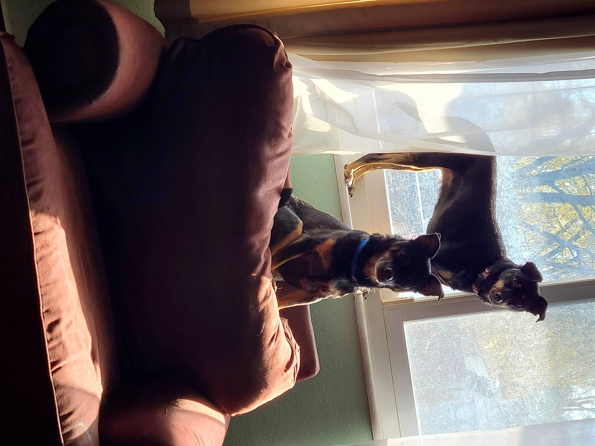 Abbey is registered to the contest to win money with this photo: auto_part, automotive_exterior, car_seat, comfort, elbow, finger, foot, gesture, head_restraint, human, human_leg, mammal, textile, thigh, thumb, tints_and_shades, vehicle_door, water, window, windshield