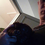 Chanel a rejoint le concours — aidez-le/la à gagner de superbes lots ! person, puppy, dog, hand, indoor, door, chain_necklace, black_clothing, wall, face, head, holding, dark, shadow, low_light, portrait, animal, pet, young_dog, close_up