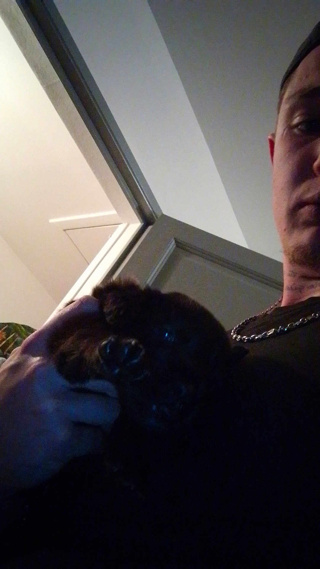 Chanel a rejoint le concours — aidez-le/la à gagner de superbes lots ! person, puppy, dog, hand, indoor, door, chain_necklace, black_clothing, wall, face, head, holding, dark, shadow, low_light, portrait, animal, pet, young_dog, close_up