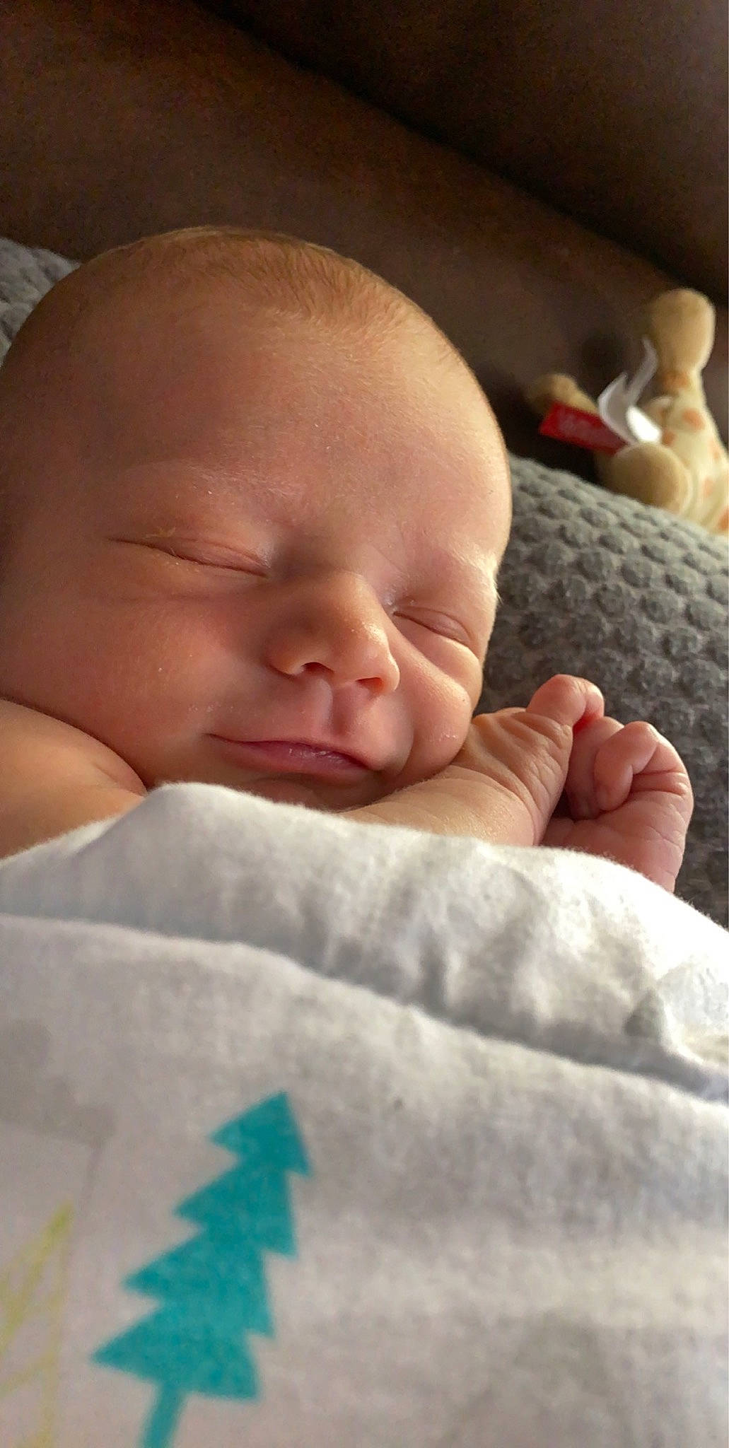 Scott is registered to the contest to win money with this photo: baby, baby_sleeping, bedtime, blanket, cheek, child, comfort, eye, face, hand, head, lip, mouth, nap, nose, person, skin, sleep, toddler