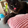 black_cat, cat, clock, close_up, cozy, cute, feline, fur, green_eyes, home, indoor, pet, pink_pillow, plush_toys, relaxed, shelf, soft_texture, tongue_out, toy, whiskers