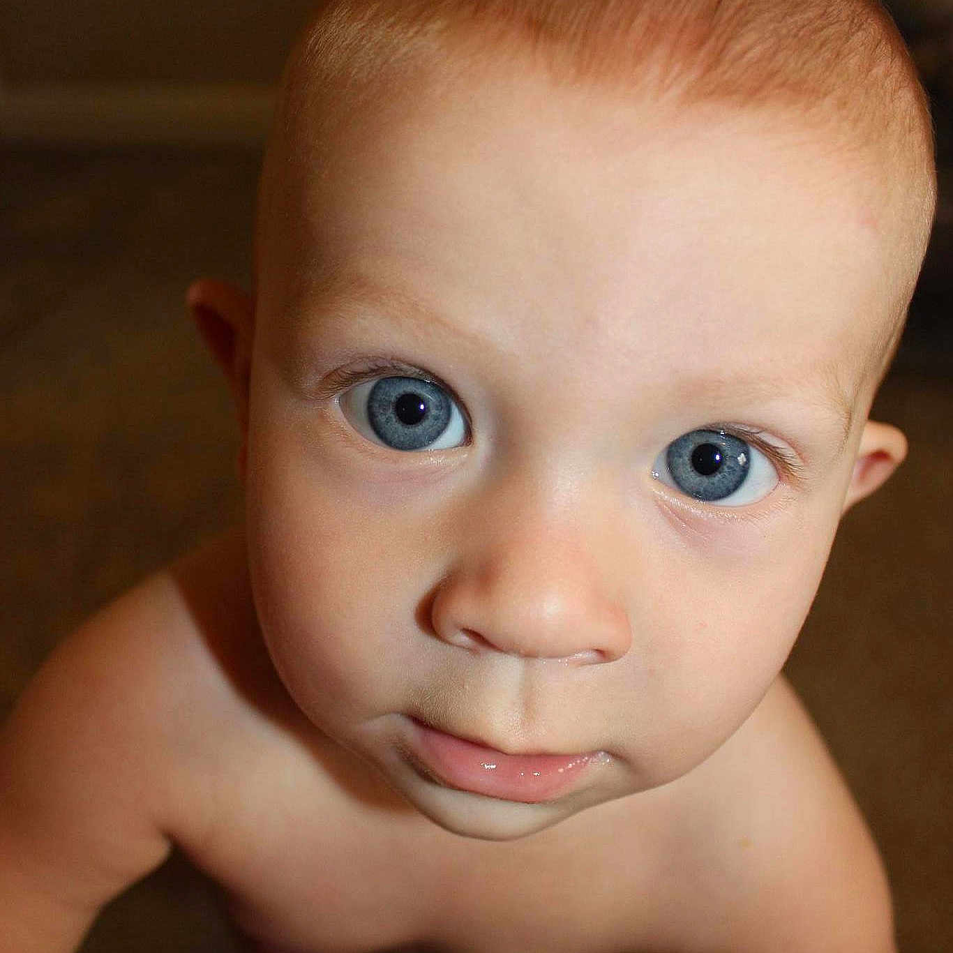 Tristen