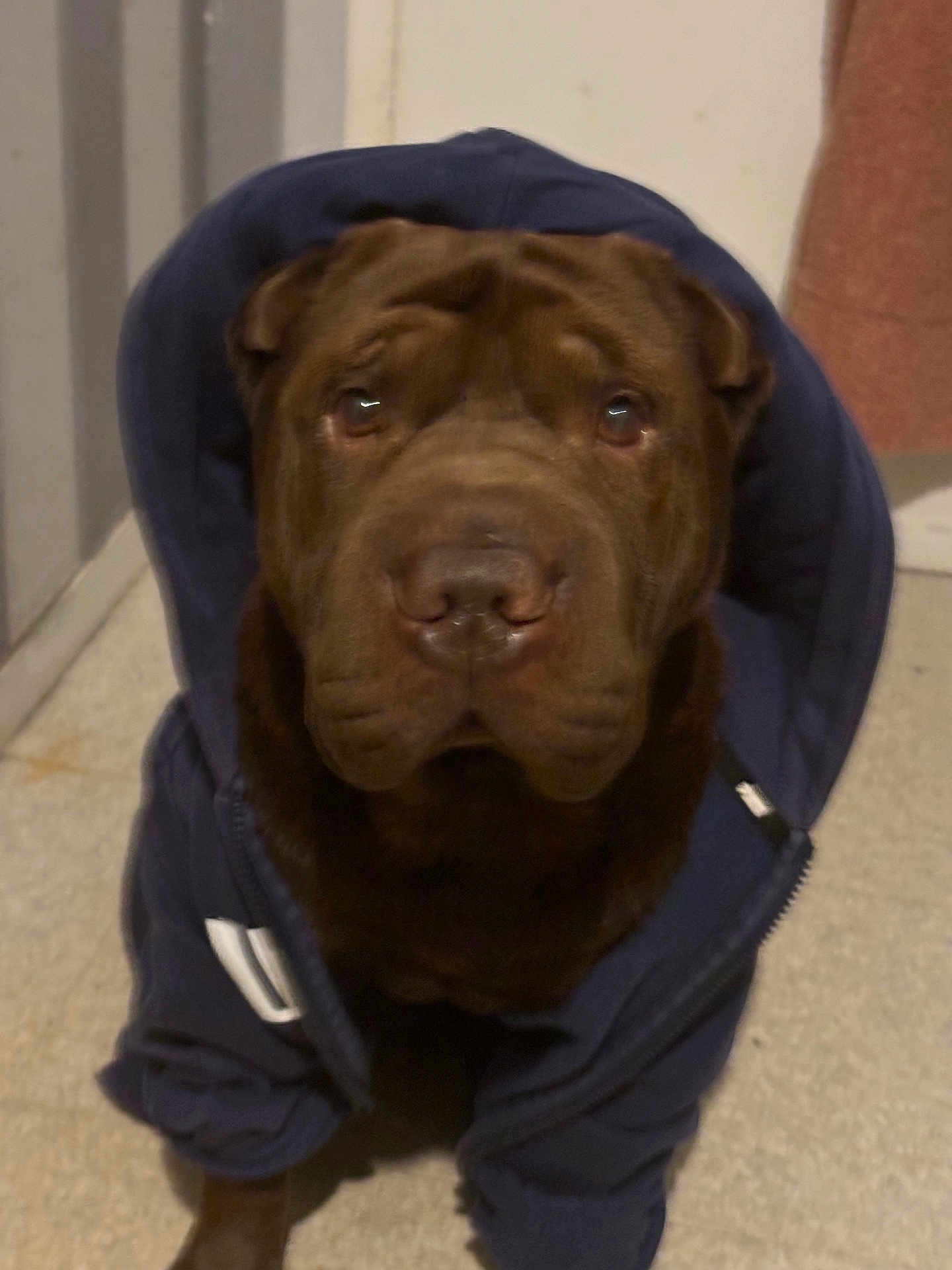 Oscar