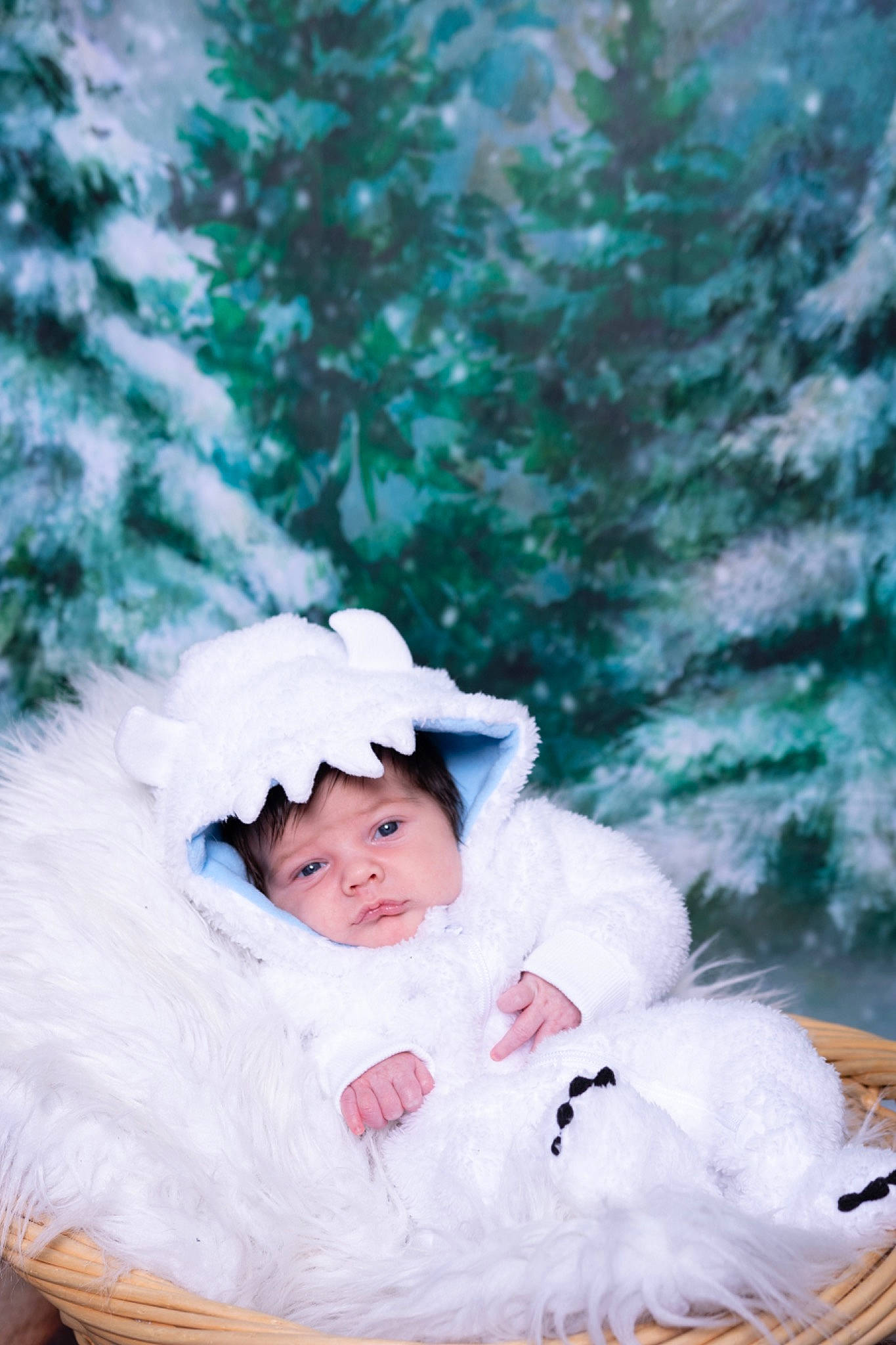 Anakin is registered to the contest to win money with this photo: baby, baby_toddler_clothing, child, conifer, forest, freezing, fur, grass, happy, hat, head, headwear, human_body, people_in_nature, person, plant, portrait_photography, sitting, toddler, tree