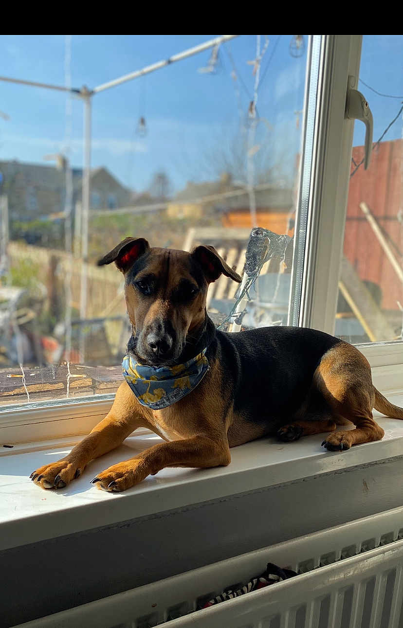 Milo