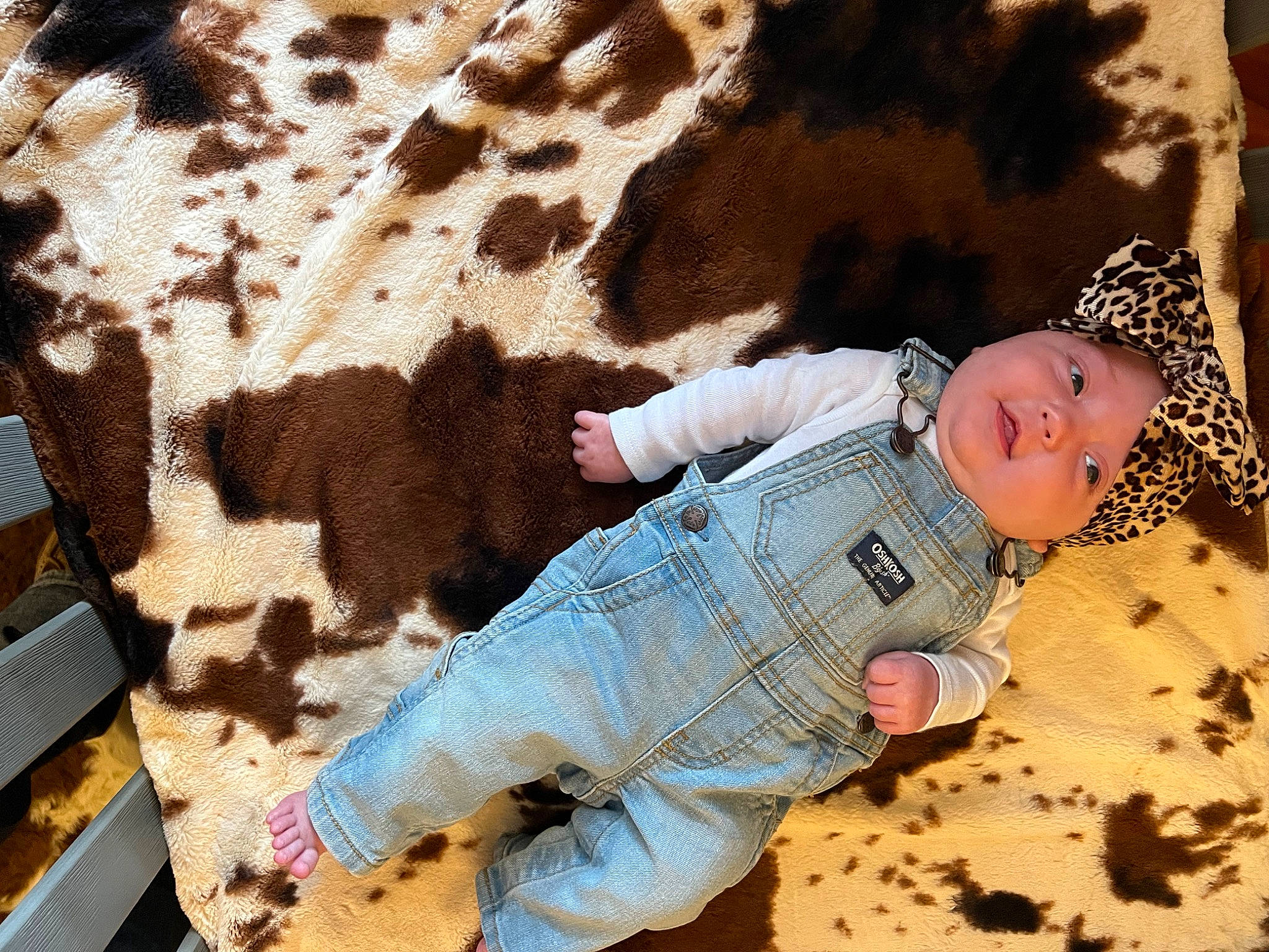 Sloan joined the competition — help win amazing prizes! adaptation, baby, baby_toddler_clothing, comfort, fawn, fun, giraffidae, happy, headwear, human_body, landscape, linens, pattern, people_in_nature, person, sand, skin, terrestrial_animal, textile, toddler