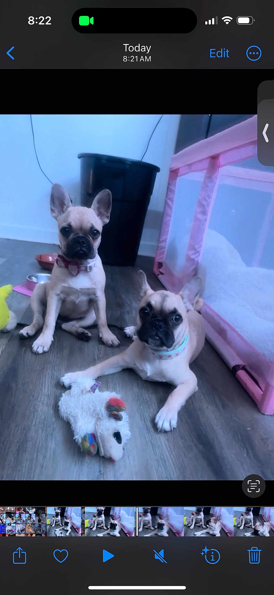 Rosie And Panchita