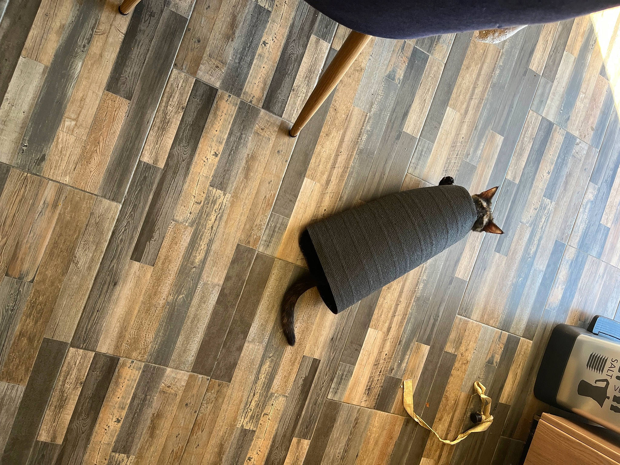 Iris a rejoint le concours — aidez-le/la à gagner de superbes lots ! audio_equipment, brown, floor, flooring, font, hardwood, laminate_flooring, metal, pattern, plank, plywood, rectangle, room, shadow, textile, tints_and_shades, varnish, wood, wood_flooring, wood_stain
