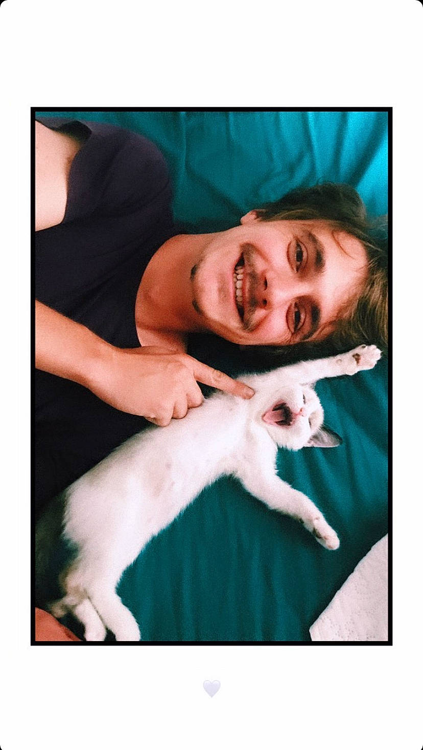 Blue a rejoint le concours — aidez-le/la à gagner de superbes lots ! carnivore, comfort, companion_dog, cool, dog_breed, eyebrow, felidae, flash_photography, formal_wear, fur, gesture, happy, jaw, mammal, mouth, neck, small_to_medium_sized_cats, smile, vertebrate, whiskers