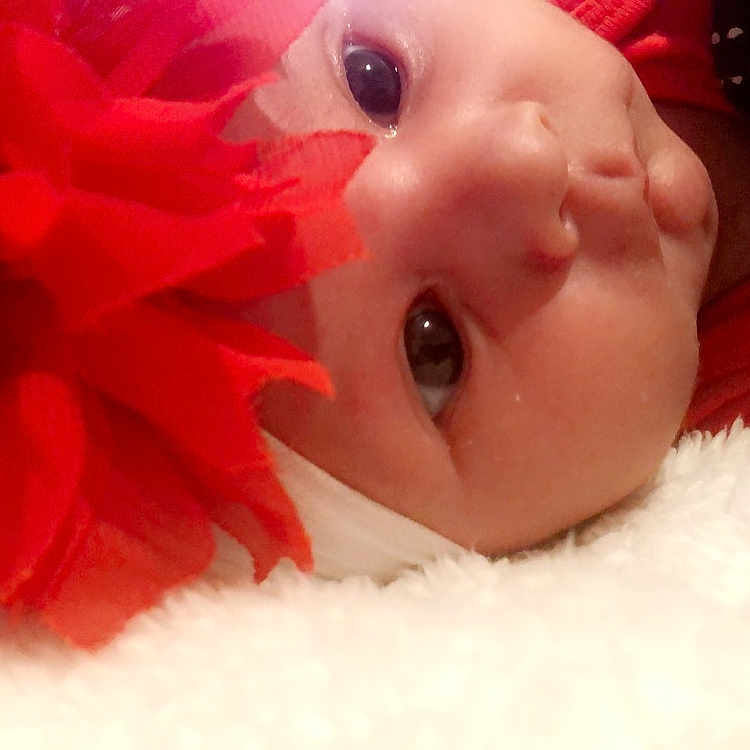 Maliyah joined the competition — help win amazing prizes! baby, cheek, child, close_up, eye, face, facial_expression, head, lip, mouth, nose, petal, photography, pink, plant, red, skin, smile, toddler
