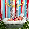Athena joined the competition — help win amazing prizes! baby, sleeping, bow, fluffy_bed, grass, daisies, holiday, 4th_of_july, banner, red, white, blue, background, festive, cute, infant, sleep, outdoor, celebration, decoration
